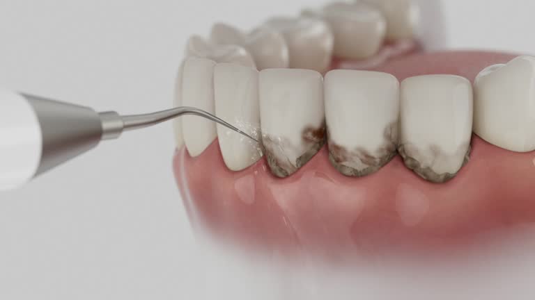 Reliable Dental contractor in Strasburg, VA by Dentist Open Now